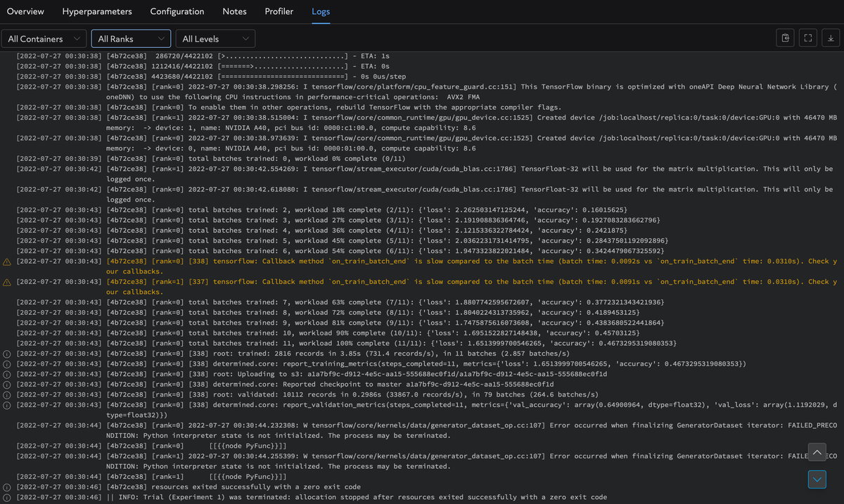 Log output from the DeterminedAI Web UI